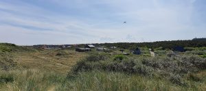 20200619_105334 [C-45-20-150]