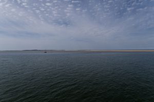IMG_4054 [Aff]