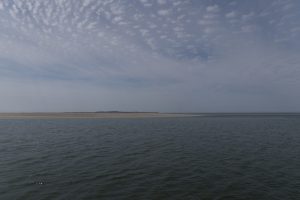 IMG_4063 [Aff-S]