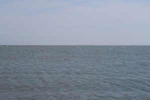 IMG_4123 [45-30-150]