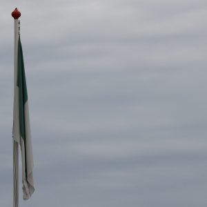 _MG_2901 [C1-45-45-150]