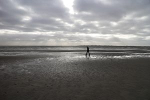 _MG_2250 [45-30-150]