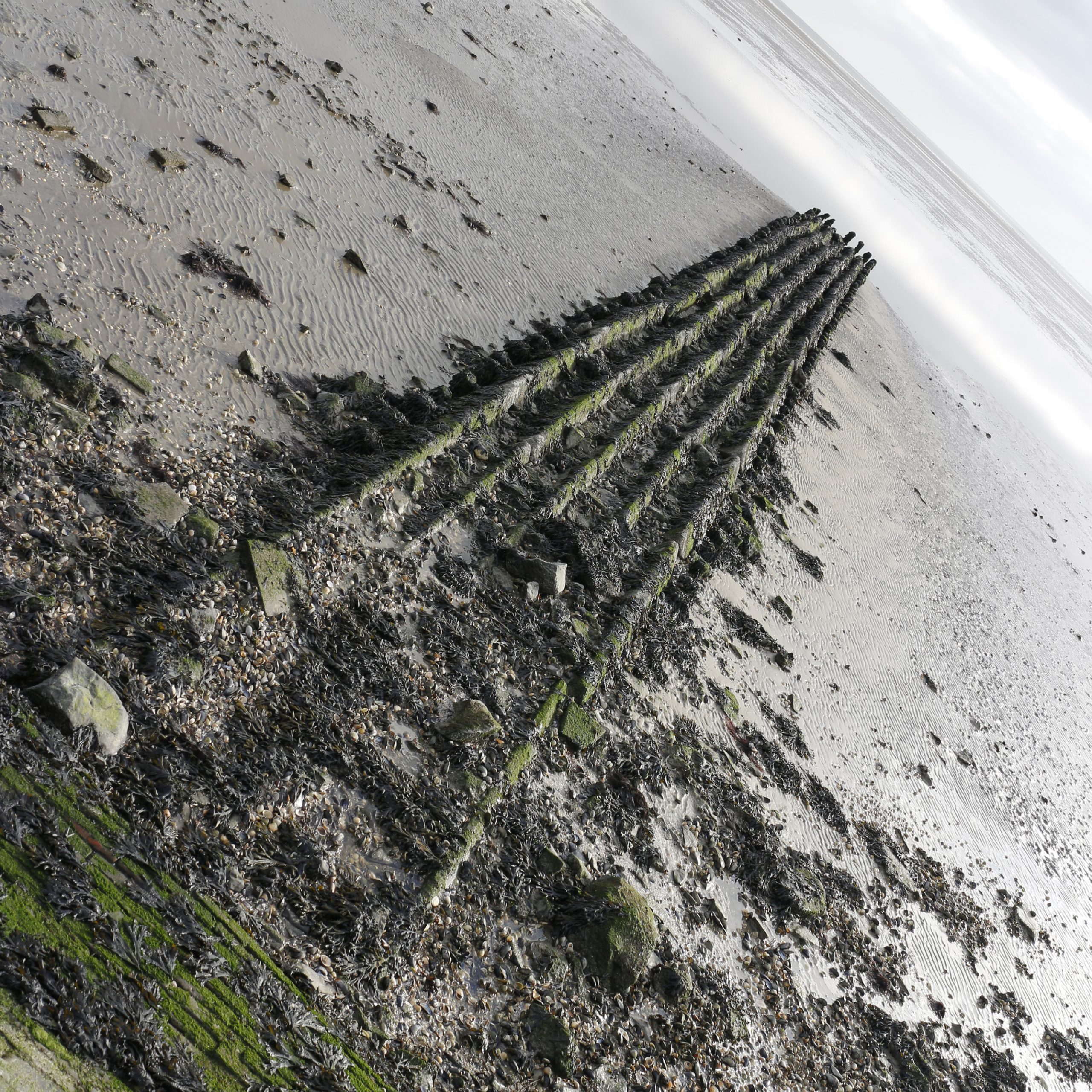 _MG_2266 [45-45-150]