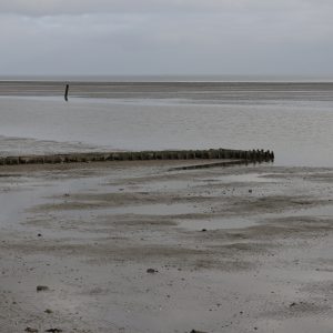 _MG_2272 [45-45-150]