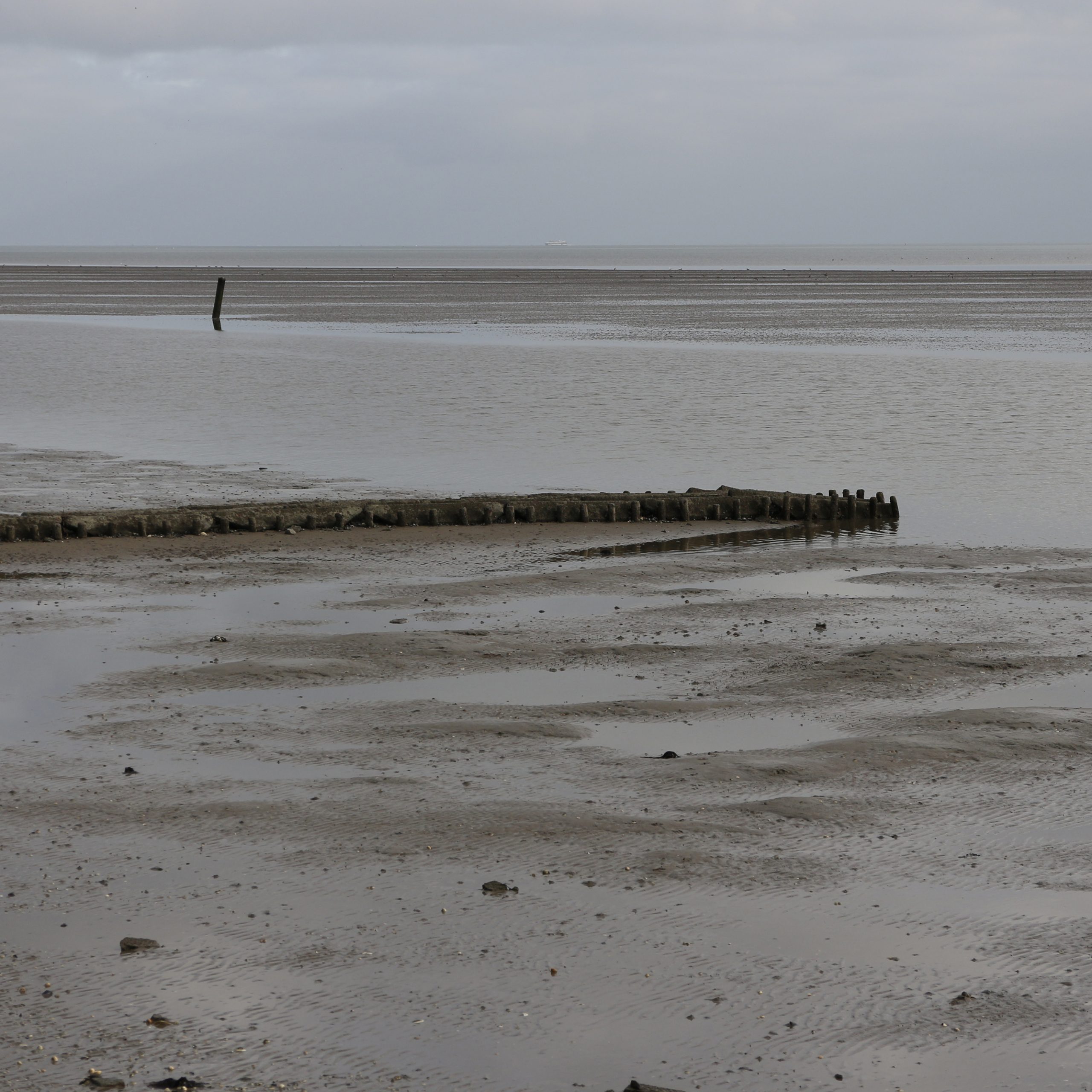 _MG_2272 [45-45-150]