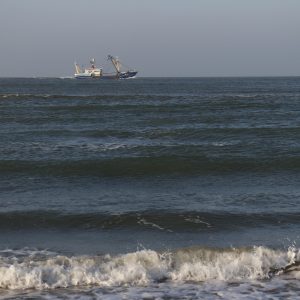 _MG_2312 [45-45-150]